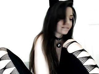 Süsse Kätzchen spielt mit Löcher vor der Webcam